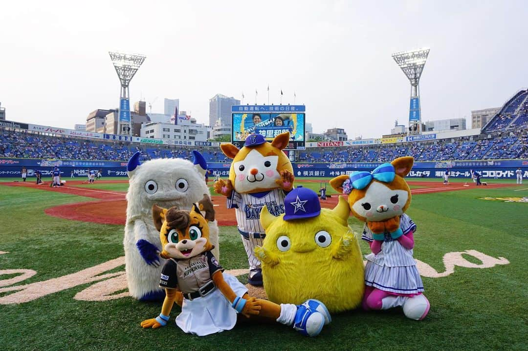 北海道日本ハムファイターズ フレップさんのインスタグラム写真 - (北海道日本ハムファイターズ フレップInstagram)「. ポリりん🐿LOVEりんですっ❤️ 一昨日と昨日の二日間、ポリーははじめて横浜スタジアムに行ってきました🏝 久しぶりにスターマンに会えたよ😆 そして...2013年シーズンデビューの同期🎀キララちゃん🎀に遂に...遂に会えました💕✨💕✨💕✨💕やったー！！！ いろ〜んな女子トークして、リーグは違えど女子マスコットズこれからも頑張って盛り上げていこうね！って誓いあったよ✨ (女の子たちみんなの想いは一緒✨✨✨) バートとチャピーもはじめましてでした💗もふもふもふでした💕 (チャピーはポリーのポンポンがかなり気に入ったみたい😆) ・ dianaのお姉さんたちや、スタジアムスタッフのみなさんもとっても優しくて、親切で、ポリーとても嬉しかったです☺️ ベイスターズファンのみなさんにも「横浜に来てくれてありがとう」ってたくさん声をかけてもらいました❤️ ポリーの方こそ、横浜スタジアムでと〜っても楽しい時間を過ごせて感謝のきもちでいっぱい！ ありがとうございました🎀 横浜、また来たいなぁ✨ ・ そして、辛いとき、苦しいときも変わらずに一生懸命応援してくれるファイターズファンのみんなの声、グラウンドにしっかり届いてたよ！！！👍👍👍 レフトスタンドのみんなの歌声を聞きながら踊るファイターズ讃歌、しあわせでした💗 ・ さ！！そして今日からはドラゴンズ戦だねー🐨 ポリーは明日からナゴヤドームにお邪魔します！名古屋のみなさん、よろしくお願いしまーす✨ ・ 今日もれっつごー❣️ファイターズ❣️❣️❣️(代筆ぽりぃ) 🐿 💗 🐿 💗 🐿 #lovefighters  #驀進 #飛び出せ新時代 #ポリーポラリス #スターマン #キララ #diana #バート #チャピー があまりにも可愛くて #こっそり連れて帰りたかったけど  #ダメだった 🤣🤣🤣 #口だと思ったら鼻だったらしい #しうまいとみかん氷たべたよ #おいしかったよ #上沢投手ずっとずっとまってるから #焦らず治してね」6月21日 18時15分 - frep_the_fox