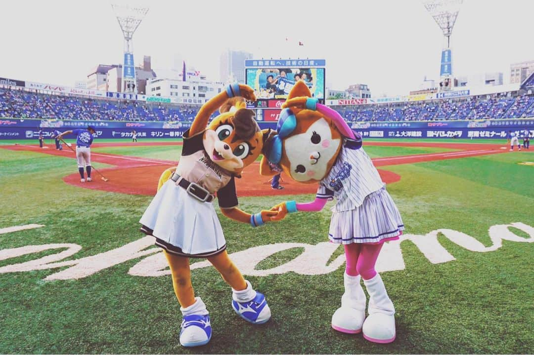 北海道日本ハムファイターズ フレップさんのインスタグラム写真 - (北海道日本ハムファイターズ フレップInstagram)「. ポリりん🐿LOVEりんですっ❤️ 一昨日と昨日の二日間、ポリーははじめて横浜スタジアムに行ってきました🏝 久しぶりにスターマンに会えたよ😆 そして...2013年シーズンデビューの同期🎀キララちゃん🎀に遂に...遂に会えました💕✨💕✨💕✨💕やったー！！！ いろ〜んな女子トークして、リーグは違えど女子マスコットズこれからも頑張って盛り上げていこうね！って誓いあったよ✨ (女の子たちみんなの想いは一緒✨✨✨) バートとチャピーもはじめましてでした💗もふもふもふでした💕 (チャピーはポリーのポンポンがかなり気に入ったみたい😆) ・ dianaのお姉さんたちや、スタジアムスタッフのみなさんもとっても優しくて、親切で、ポリーとても嬉しかったです☺️ ベイスターズファンのみなさんにも「横浜に来てくれてありがとう」ってたくさん声をかけてもらいました❤️ ポリーの方こそ、横浜スタジアムでと〜っても楽しい時間を過ごせて感謝のきもちでいっぱい！ ありがとうございました🎀 横浜、また来たいなぁ✨ ・ そして、辛いとき、苦しいときも変わらずに一生懸命応援してくれるファイターズファンのみんなの声、グラウンドにしっかり届いてたよ！！！👍👍👍 レフトスタンドのみんなの歌声を聞きながら踊るファイターズ讃歌、しあわせでした💗 ・ さ！！そして今日からはドラゴンズ戦だねー🐨 ポリーは明日からナゴヤドームにお邪魔します！名古屋のみなさん、よろしくお願いしまーす✨ ・ 今日もれっつごー❣️ファイターズ❣️❣️❣️(代筆ぽりぃ) 🐿 💗 🐿 💗 🐿 #lovefighters  #驀進 #飛び出せ新時代 #ポリーポラリス #スターマン #キララ #diana #バート #チャピー があまりにも可愛くて #こっそり連れて帰りたかったけど  #ダメだった 🤣🤣🤣 #口だと思ったら鼻だったらしい #しうまいとみかん氷たべたよ #おいしかったよ #上沢投手ずっとずっとまってるから #焦らず治してね」6月21日 18時15分 - frep_the_fox