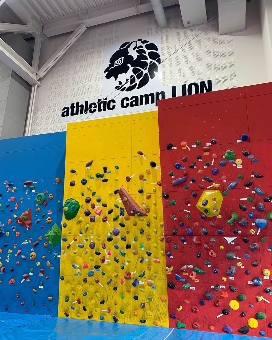 下田美馬のグルメインスタ