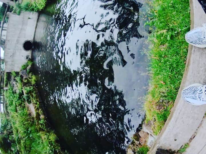 CHISA のグルメインスタ