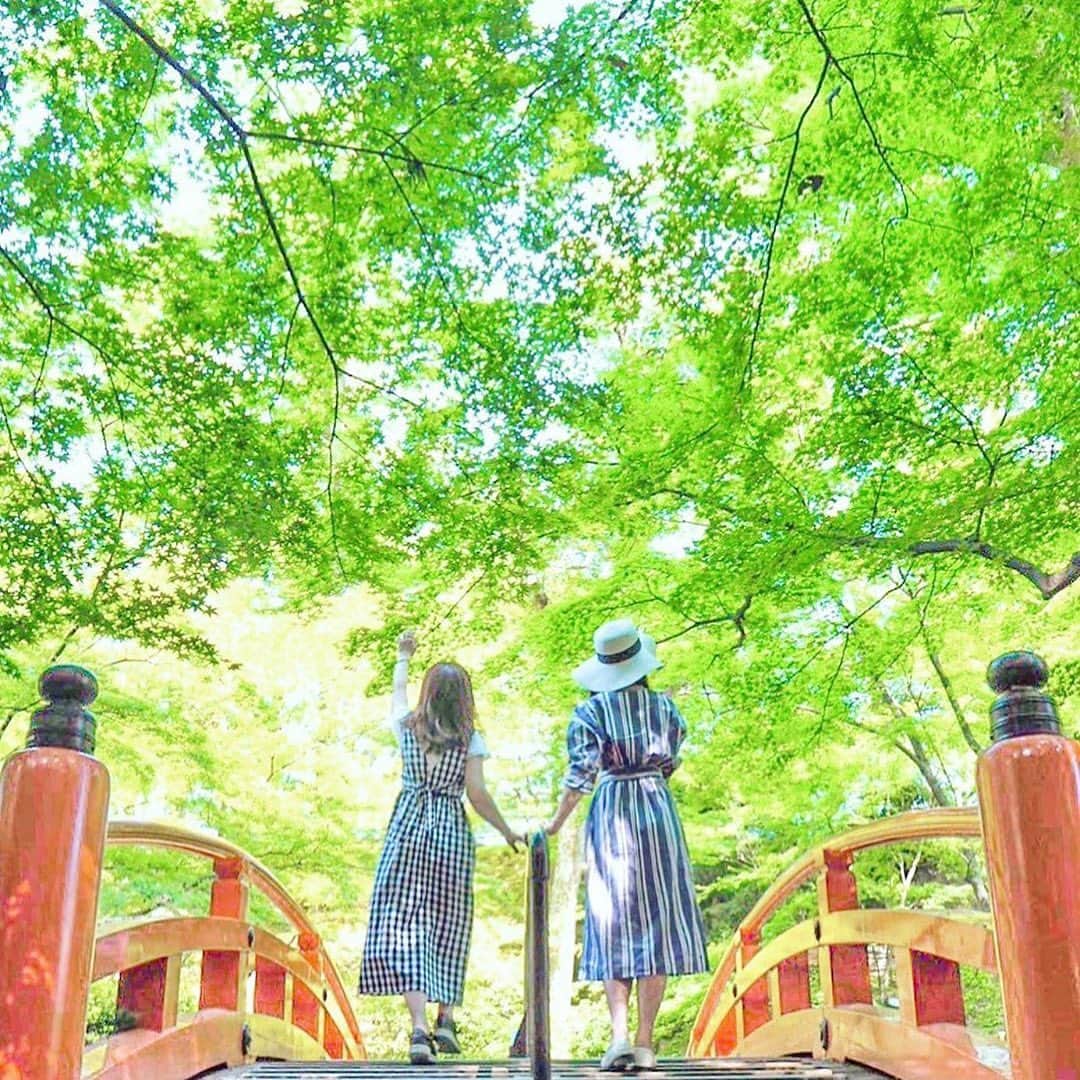【JTB】マイトリ公式アカウントのインスタグラム：「＼follow me!! 💛／﻿ ﻿ いいね&フォローキャンペーン✨ 7月31日(水)まで開催中🥳﻿ ﻿ 💚応募方法 ①@jtb.mytripをフォロー ②キャンペーン投稿をいいね👍﻿ ﻿ 抽選でカード型旅行券🎟 10,000円分を10名様にプレゼント🎁💕﻿ ﻿ − − − − − − − − − − − − − − − − − −﻿ ﻿ 今日の #マイトリ 投稿は…@hobbitripさんの #京都 #北野天満宮 でのお写真📷✨﻿﻿ ﻿﻿ 青紅葉の緑色がとても綺麗〜✨ 見てるだけ涼しくなりますね😊💚﻿﻿ ﻿﻿ マイトリサイトには、海外、国内の女子旅情報をUPしています❣️URLから、是非チェックしてみてください😚﻿﻿ ﻿﻿ #マイトリ #JTB #JTBで旅したい #京都旅行 #kyoto #青紅葉 #日本の美 #風情 #きれいな風景 #女子旅 #フォトジェニック #traveler #girlstrip #旅行 #女子カメラ #写真好きな人と繋がりたい #trip #フォトスポット #GirlsWhoTravel #girlaroundworld」