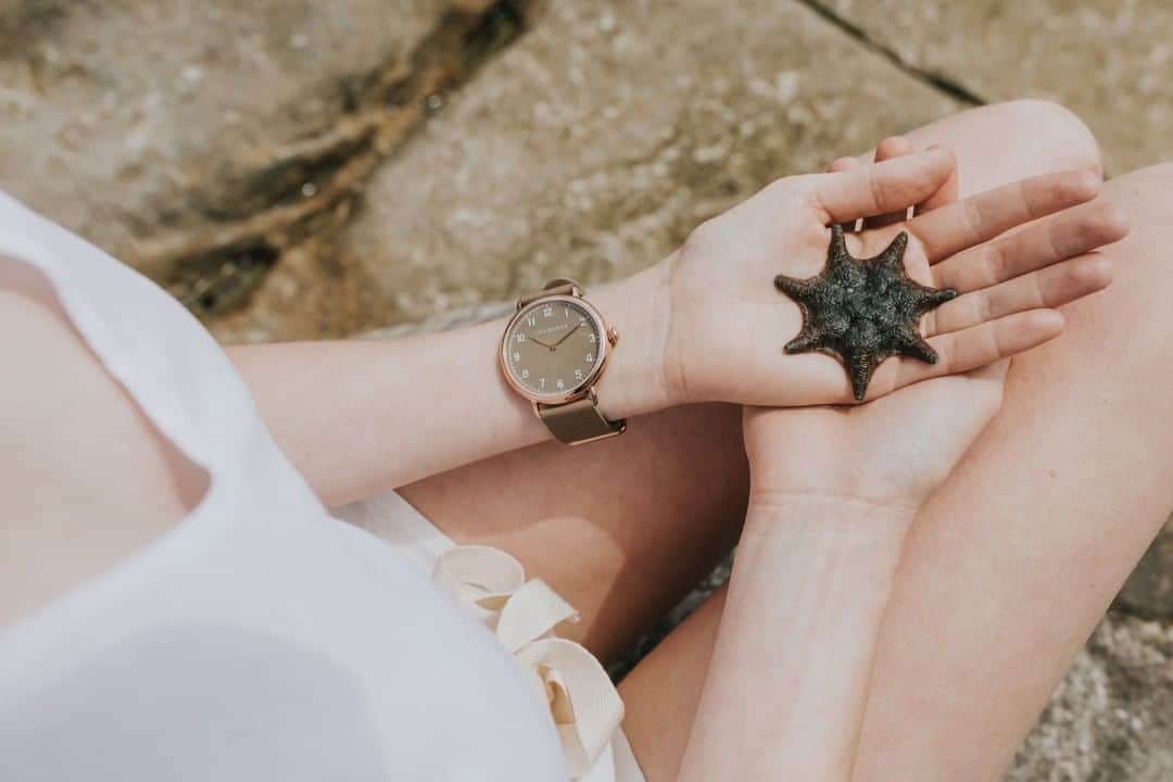 The Horseさんのインスタグラム写真 - (The HorseInstagram)「A Star is born.⠀⠀⠀⠀⠀⠀⠀⠀⠀ The Heritage range.⠀⠀⠀⠀⠀⠀⠀⠀⠀ -⠀⠀⠀⠀⠀⠀⠀⠀⠀ #sale #heritage #watchlovers #starfish #star #seaside」6月21日 19時00分 - the_horse
