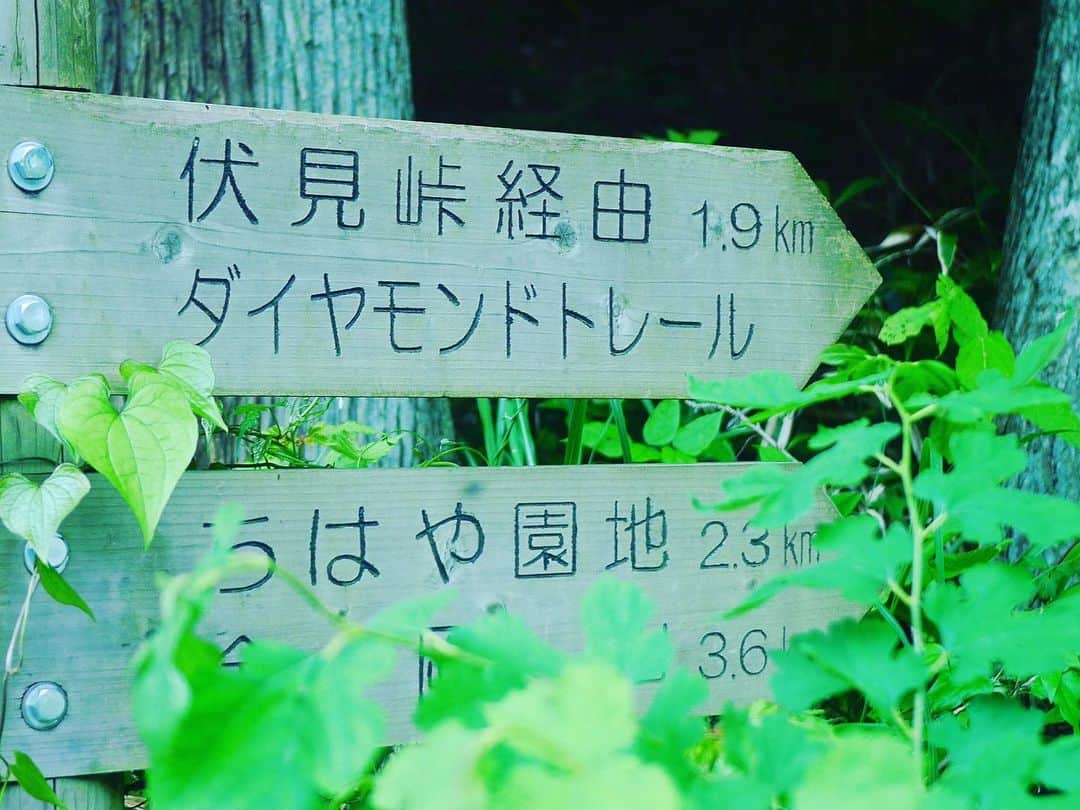 のインスタグラム：「#金剛山 #登山 大人も子供も簡単に登れてしまう。 まず初心者はここから登るべし！ #ダイヤモンドトレール」