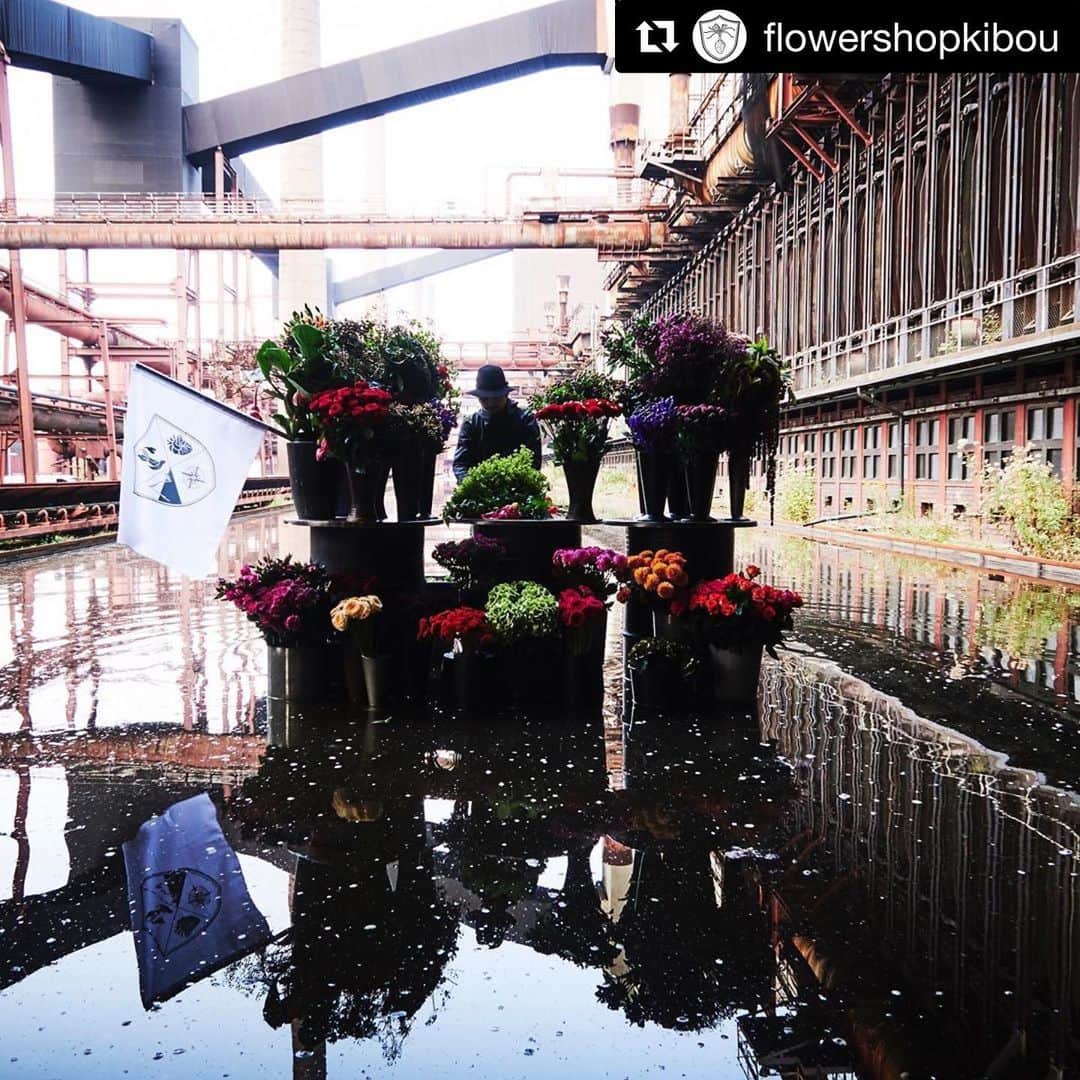 椎木俊介さんのインスタグラム写真 - (椎木俊介Instagram)「#Repost @flowershopkibou with @get_repost ・・・ 4 years has passed since we started this project. We just wanted to make people smile with flowers🙂➕💐Not �a big deal, that’s all.  However, we really hope to spread this project to more people, as much as possible in all over the world, as it is still lesser-known. So please everyone, give us your hand to spread it🙏🏻 just re-posting or RT using any kind of your media. Then, we might be able to hear more voices from all over the world who need “Hope” in various occasions, like wedding, funeral, birthday party, or festival, town revitalization…we don’t care about the scale from very personal request to huge festival of their town. We don’t need money. Smile is everything for us....but if you have little room in your heart, it would be great to give us a piece of bread and water😘 Well, then everyone, please share this message with love, smile and guts. Of course we’re welcome from your request as well. We’re ready to go wherever you need “Hope”🕊🕊🕊 希望プロジェクトは約四年前から始まったんだ。とにかく世界中を花で笑顔にしたくてさ。それだけなのよ。ただ、まだまだこのプロジェクトは誰の目にも止まってないからとにかく世界中の人に知ってもらいたいんだよね！だからみんなの力を借りてバンバン広めて欲しいんだよね！リポストやら何やらどんな手段でもいいからさ！拡散して欲しいんだよね！そしたらさ、これからどんな場所に来て欲しいとかさ、色々なリクエストが聞けていいじゃない！俺たちはどこにでも行くよ、そこに笑顔があればさ。結婚式や葬式、誕生日会みたいに個人的なもんでもいいのよ、町興しや祭りのようなパブリックなもんでももちろん大丈夫！お金は要らない！笑顔が俺たちの全てだから。でも少しゆとりがあるのならパンと水ぐらいは用意してくれると嬉しいな。それじゃ拡散よろしく！愛と笑顔とど根性を込めて！あとみんなのリクエストも待ってるぜ、俺たちは世界中どこにでも行く準備は出来てるからね！#汚い路地裏 #flowershopkibou #kibou #希望 #kibouproject #flowershop #flower #希望プロジェクト #フラワーショップ #花 #花屋 #花と人 #smile #笑顔  #amkk #amkkproject #笑顔とど根性の花屋 #これは魂の叫び #死にものぐるいの花屋」6月21日 10時39分 - shiinokishunsuke