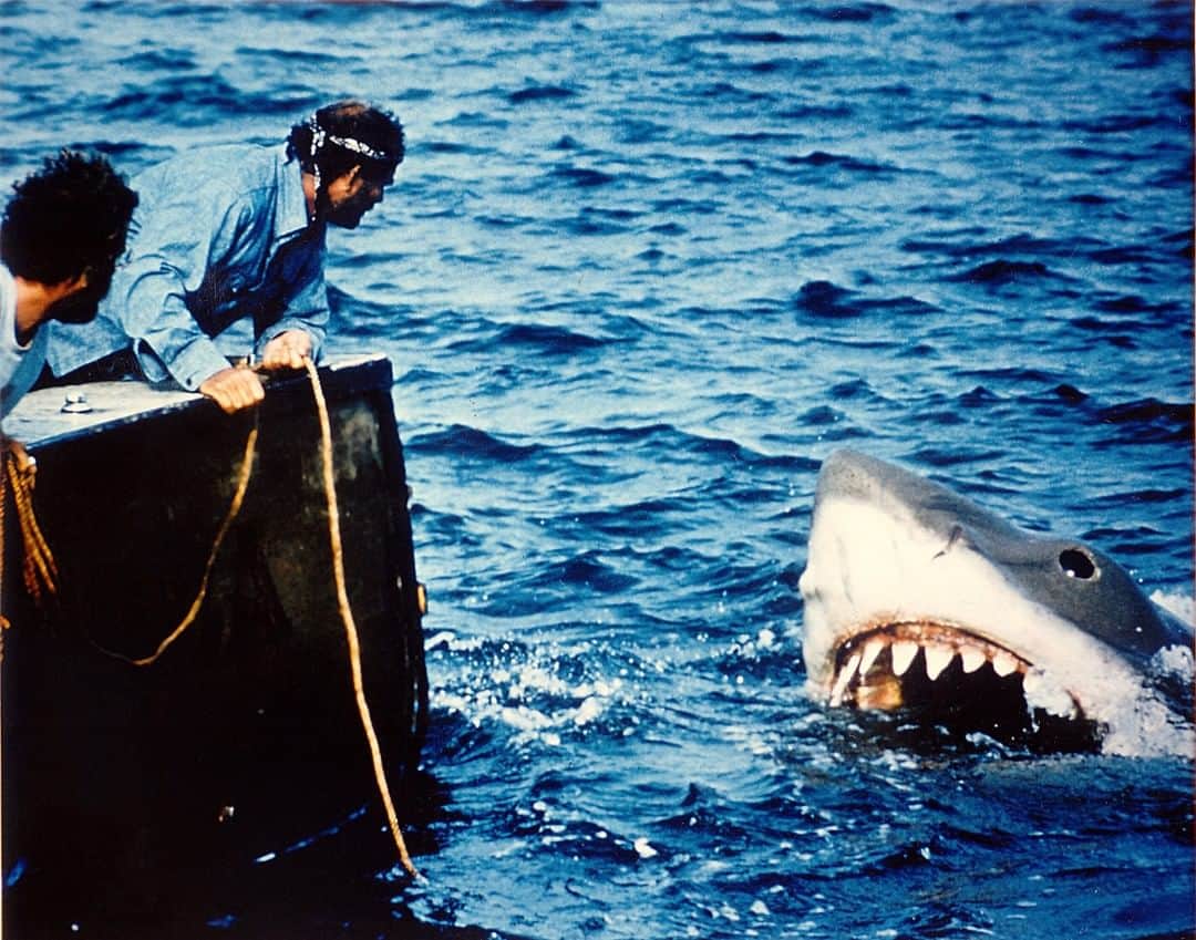 ハリウッド・リポーターさんのインスタグラム写真 - (ハリウッド・リポーターInstagram)「They definitely needed a bigger boat. On this day in 1975, Steven Spielberg’s classic #Jaws hit theaters and forever made beach-going a scary task. What is your favorite quote from the movie?」6月21日 11時00分 - hollywoodreporter
