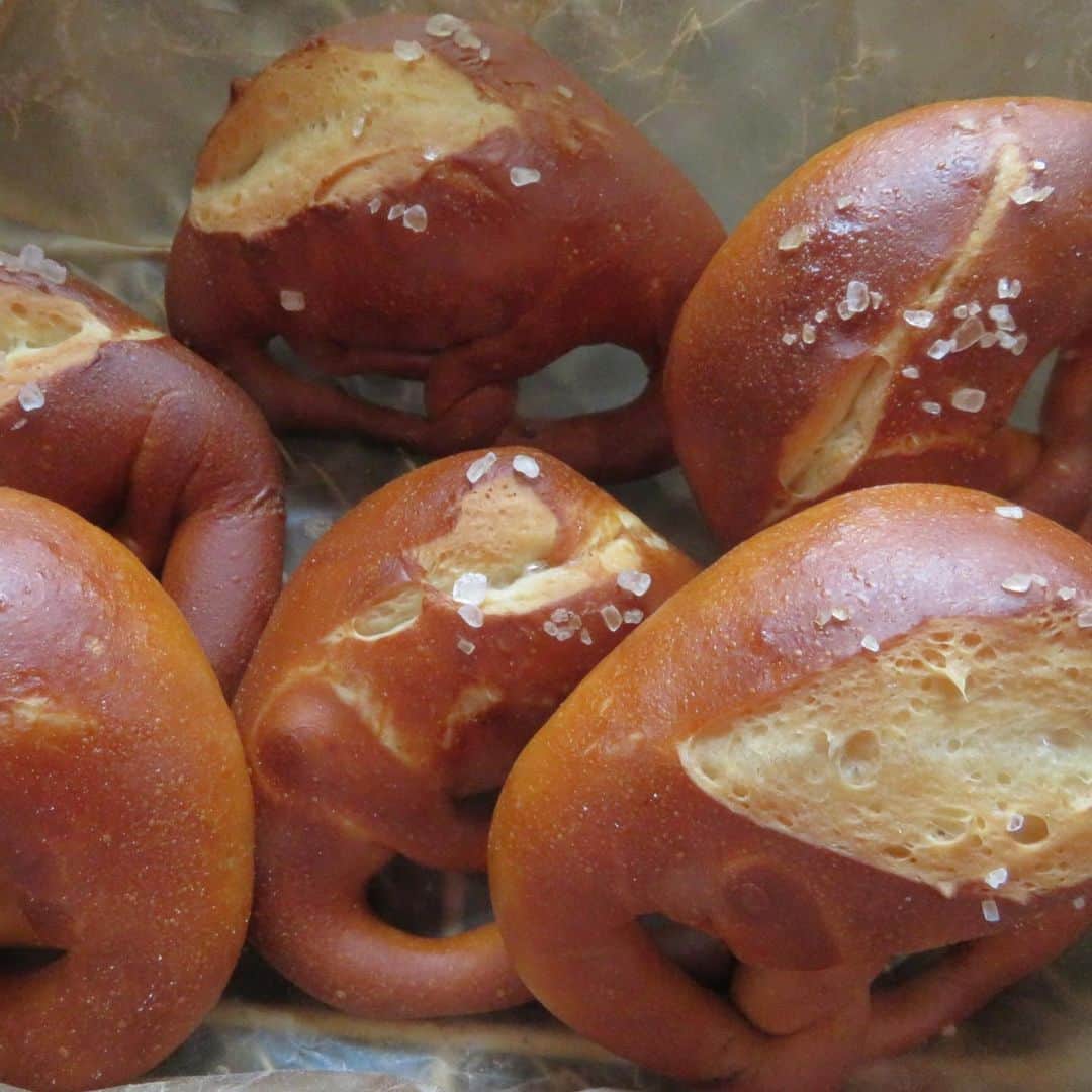 魔女菅原のグルメインスタ