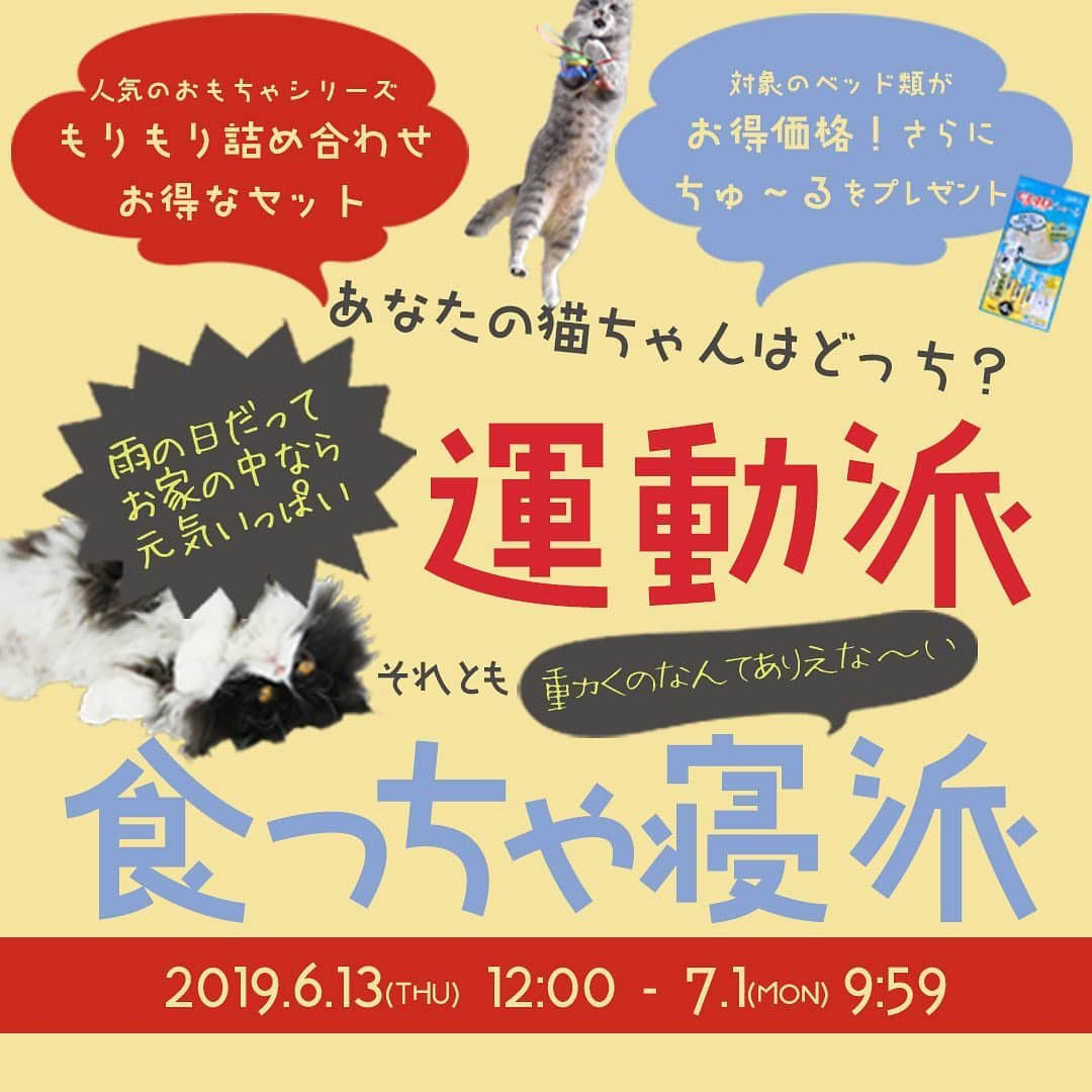 iDog&iCatのインスタグラム