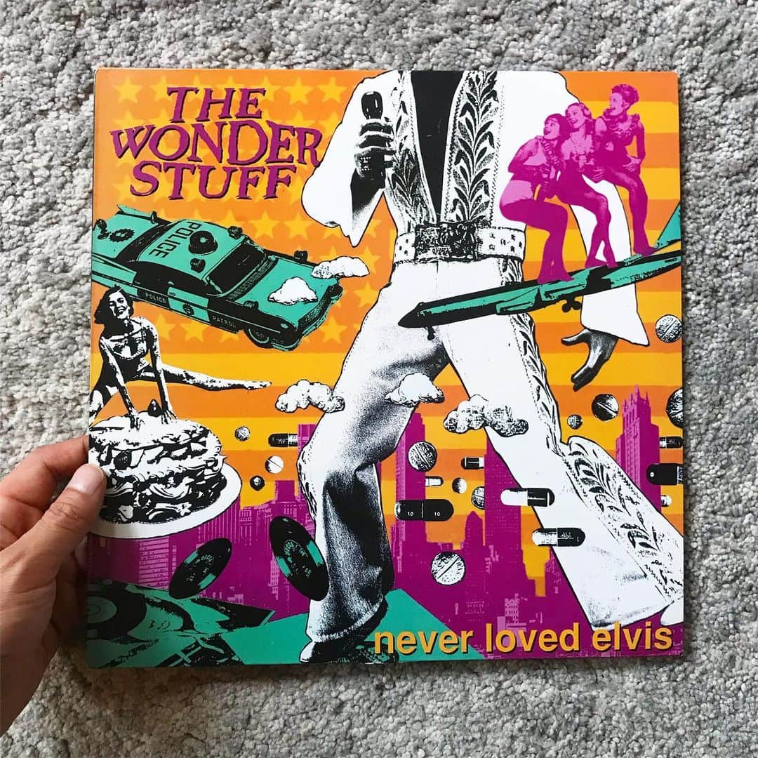 山田稔明さんのインスタグラム写真 - (山田稔明Instagram)「仔猫時代のポチ実を眺めながらテーマソングに選ぶなら…と浮かんだのがワンダースタッフの「Welcome to the Cheap Seats」だったのです。学生のときから好きなアルバム。 #朝一番に聴くレコード」6月21日 11時26分 - toshiakiyamada