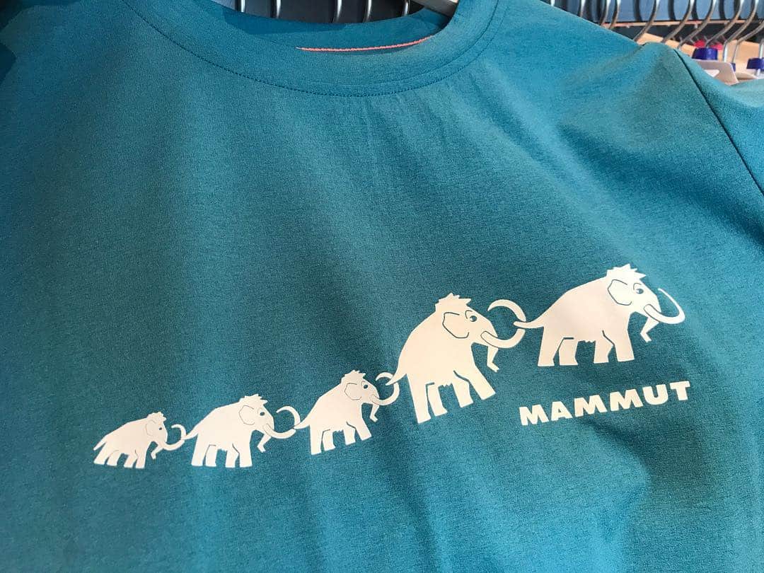 伊東秀和さんのインスタグラム写真 - (伊東秀和Instagram)「Mammut Summer2020✨ いつもお世話になっているスポンサー💫Mammutの展示会！魅力的なデザインと機能性は多種多様🌈 @mammut_japan #mammut #マムート #climbing #2020 #展示会 #共に成長 #challenge #感謝」6月21日 11時57分 - hide9a2019
