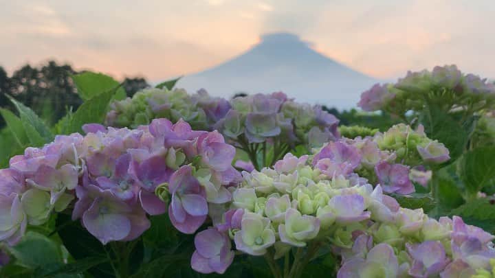 phantastic420のインスタグラム：「. 🤩🤩“Shizuoka” prefecture in Japan is a place where you can see the most “phantastic” Mt. Fuji🗻 in the world.🤩 #富士山 #mtfuji #japan #shizuoka #fujinomiya  #phantastic420photography #mostphantasticmtfuji #selamatpagi  #goodmorning  #おはようございます 😇😇😇😇😇😇😇🗻😇😇」