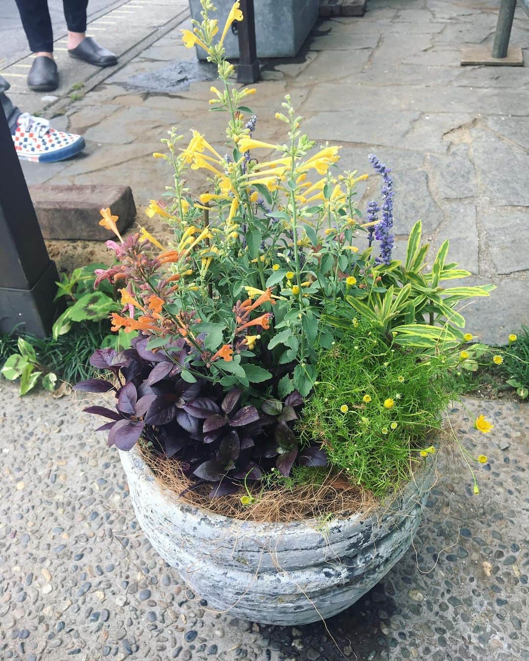 MILLE ECLAT.のグルメインスタ