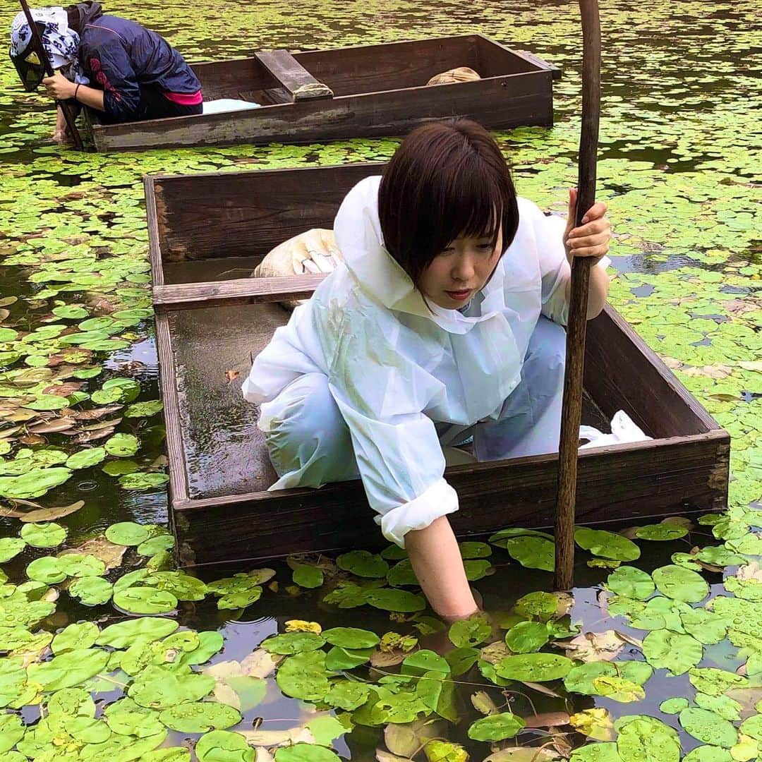 片桐千晶さんのインスタグラム写真 - (片桐千晶Instagram)「⁑ じゅんさい採ったどー‼️の図、in秋田。 大荒れの予報だったけど、奇跡的に小雨になって無事転覆せずに済みました🤣 秋田時代に取材は何度もしたけど収穫は初めて😳 水の中に手を入れてヌルヌルのじゅんさいをプチッと採ります👍夢中になりすぎて、2時間みんなほぼ無言。 #秋田 #三種町 #じゅんさい #高級食材 #押すなよ絶対押すなよのやつ」6月21日 13時00分 - chiaki.katagiri333