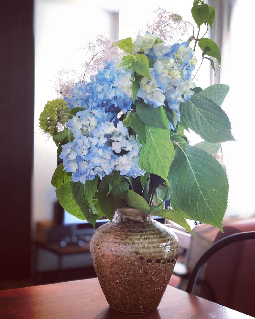 神咲詩織さんのインスタグラム写真 - (神咲詩織Instagram)「紫陽花❁ かわいい❁」6月21日 13時20分 - nexter_nippon