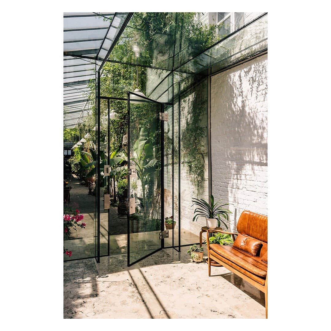 The Modern Houseさんのインスタグラム写真 - (The Modern HouseInstagram)「#forsale Bring the Outside In: an outstanding west London home with a private leafy courtyard. Follow the link in our bio to see the sales particulars.」6月21日 19時30分 - themodernhouse