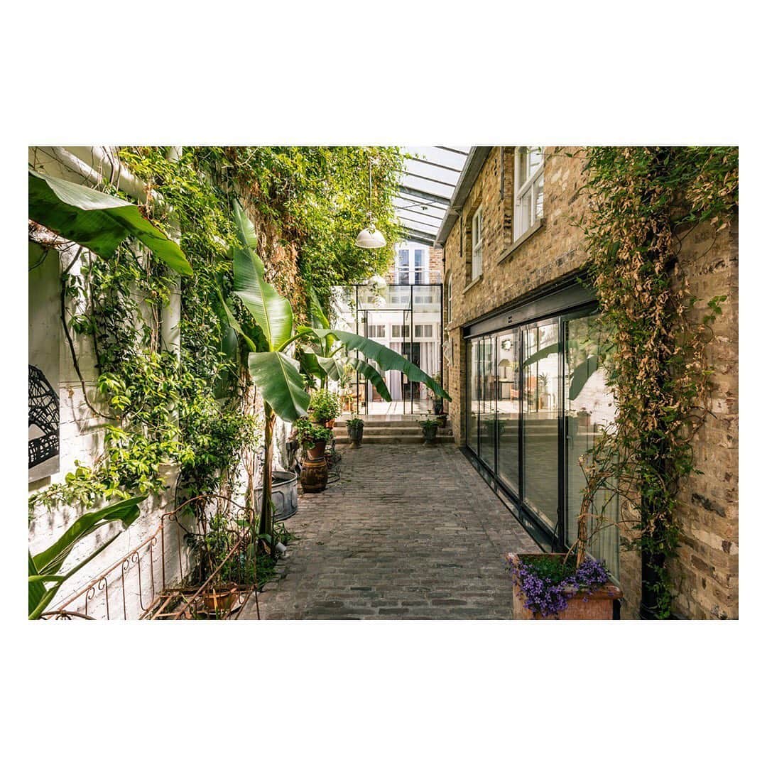 The Modern Houseさんのインスタグラム写真 - (The Modern HouseInstagram)「#forsale Bring the Outside In: an outstanding west London home with a private leafy courtyard. Follow the link in our bio to see the sales particulars.」6月21日 19時30分 - themodernhouse
