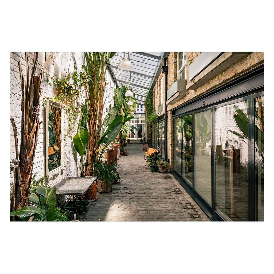 The Modern Houseさんのインスタグラム写真 - (The Modern HouseInstagram)「#forsale Bring the Outside In: an outstanding west London home with a private leafy courtyard. Follow the link in our bio to see the sales particulars.」6月21日 19時30分 - themodernhouse