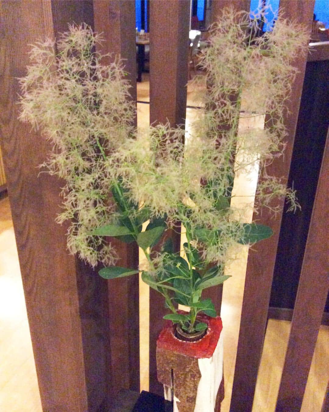 祥吉のグルメインスタ