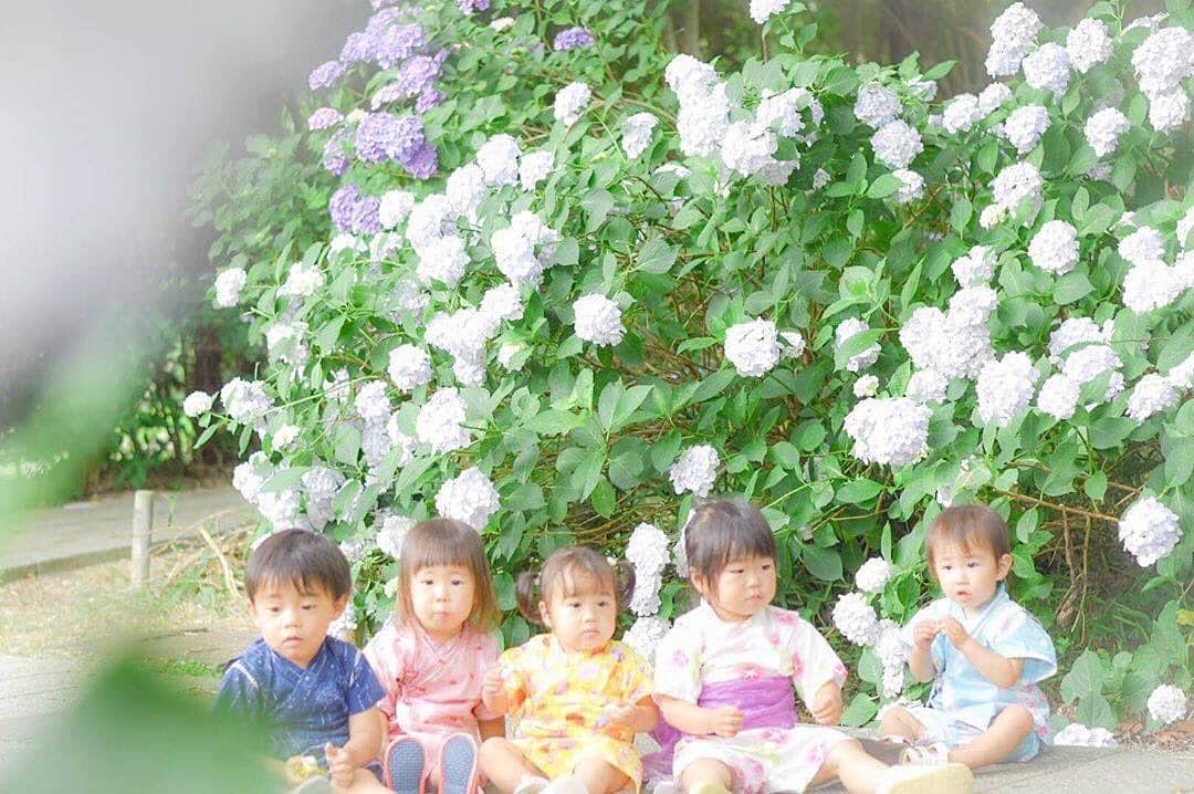 タビスルキッズのインスタグラム：「今週もお疲れさまでした😊 現在、「初夏」を楽しんでいるお写真・動画を募集中です✨ 本日の #タビスルキッズ はこちら💕 📷 @yuidonmamaさん 🚩埼玉県・さいたま市「大宮第二公園」 🎙ご本人コメント 紫陽花ミート💠  ちびっ子わちゃわちゃしてるだけでかわいい  もうすぐ出産ママ、年子ママ、三姉妹ママみんなアクティブだしキレイ  元気もらえた！  location:saitama ﻿﻿﻿﻿﻿＊＊＊＊＊＊ 「紫陽花ミート」かわいいですね😍 素敵なお写真ありがとうございます💕」