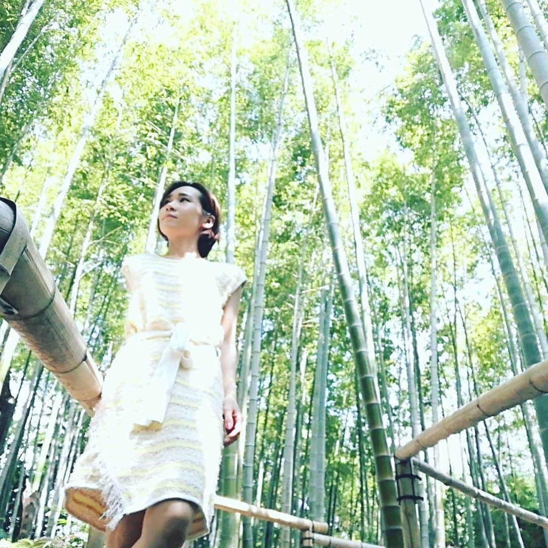 Arisa Nanaseさんのインスタグラム写真 - (Arisa NanaseInstagram)「どーこだ？✨in bamboos!!! 竹の中♥️実は白鳥庭園です。 仕事で名古屋の観光地回りまくりました👍 意外と行ったことないところばかりだな😆 #会社は学校じゃねぇんだよ  でも#向いてること と #向いてないこと があるわけで 向いてることをやれば数倍になるかもよ？👍✨ ・ ・ #働き方 #撮影 #動画編集 #youtuber #動画制作 #竹やぶ #インスタ映え  #日本庭園 #白鳥庭園 #名古屋 #観光 #仕事 #japanesegarden #bamboo #shirotorigarden #nagoya #sightseeings  #japanese #instalike」6月21日 14時43分 - arisa.nanase
