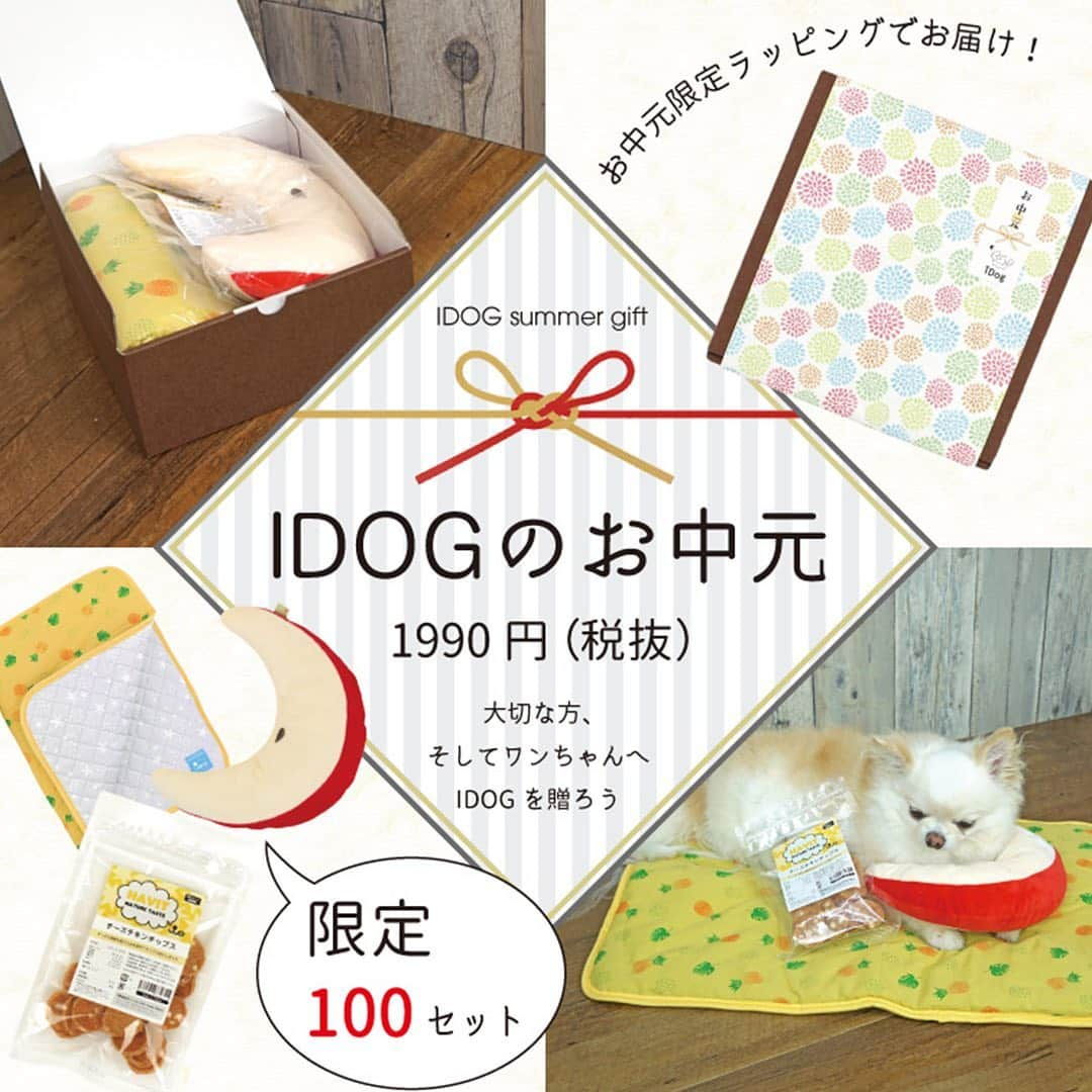 iDog&iCatさんのインスタグラム写真 - (iDog&iCatInstagram)「🍍🎁 大切な方、そしてワンちゃんへIDOGを送ろう！ 「IDOGのお中元」販売開始！ ・ 家族の一員である大切な愛犬が喜ぶこと間違いなし！のお中元ギフトセットです✨ いつもお世話になっているお友達ワンコへ、そして大切なパートナーへ、日頃の感謝を込めて…！ ・ ●ひんやりキルトマット パイナップル イエロー ●もぐもぐピロー りんご ●HAVIT チーズチキンチップス の3点が入っています。 フルーツモチーフを中心に、夏らしいセットです🍍🍎 ・ こちらのお中元限定のラッピングでお届けします！ IDOGオリジナルのお中元シールが付いた可愛らしいデザインです♪ ・ 単品で買うと2,570円（税抜）のところ、1990円（税抜）★ 限定100セットのお得な商品です😆 お早めにチェックしてみてくださいね〜 ・ https://item.rakuten.co.jp/idog/sn-set230/ （楽天IDOGのみの販売です） ストーリーからサイトへ飛ぶこともできます✈️ ・ #idogicat #idog #icat #犬の服idog #お中元 #夏ギフト #犬 #いぬ #チワワ #看板犬コマメ #どすこい #ひんやりマット #ピロー」6月21日 15時34分 - idogicat