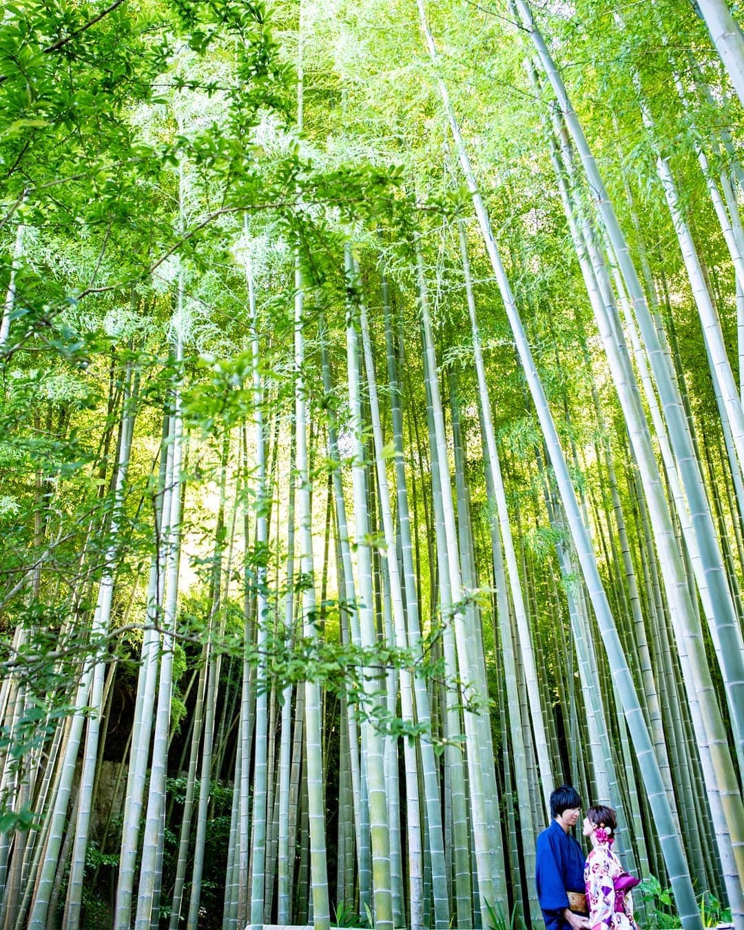 鎌倉プリンスホテル写真室_la-vie factoryのグルメインスタ