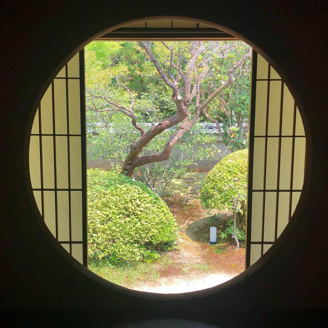 屬美於さんのインスタグラム写真 - (屬美於Instagram)「新緑のもみじも、お寺も、クチナシの香りも。 ほんとにぜんぶぜんぶぜーんぶよかったな。  癒された京都ありがとう！」6月21日 16時05分 - mioyoga__style
