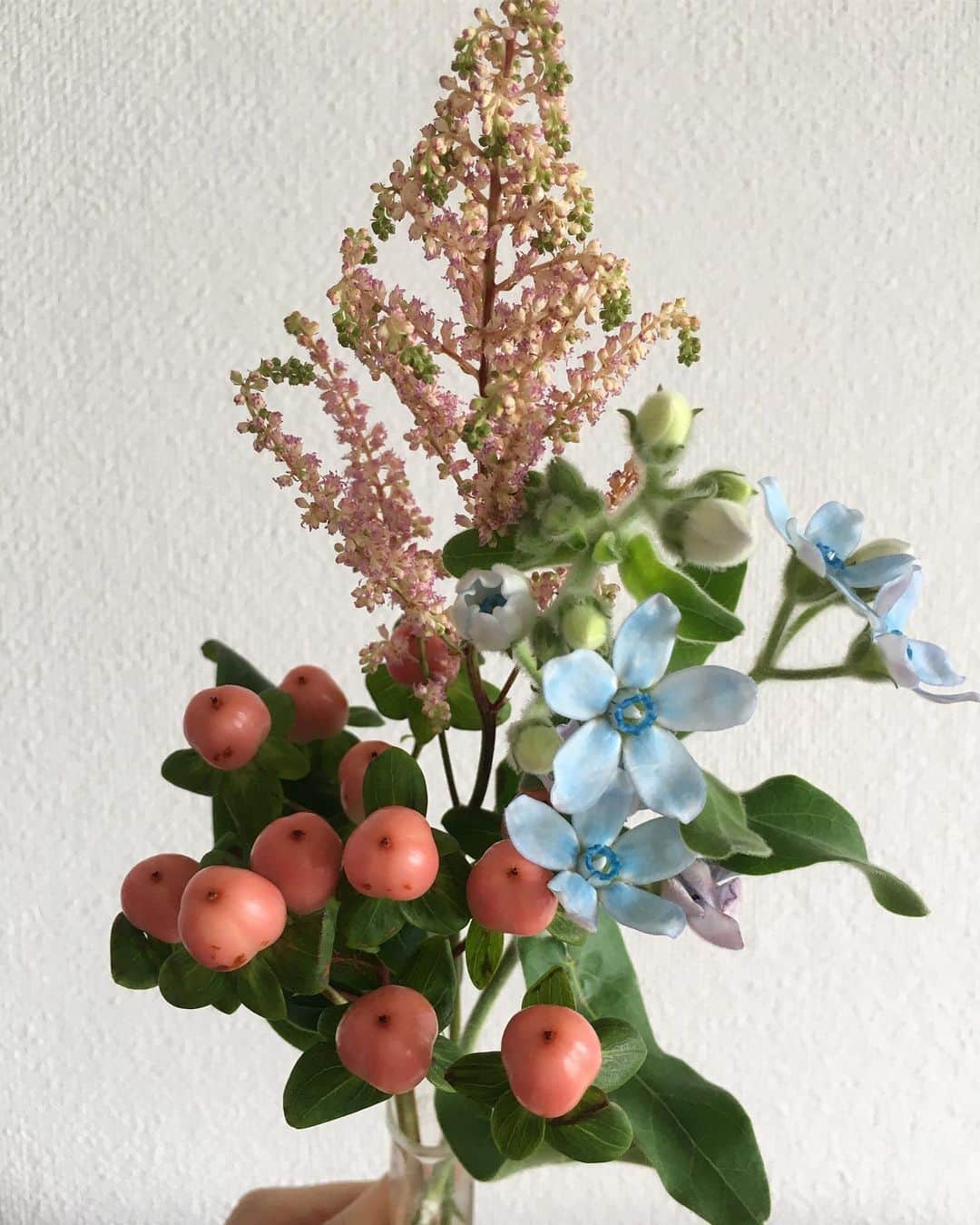 北澤 宏美さんのインスタグラム写真 - (北澤 宏美Instagram)「配色かわいい 素朴で可愛らしい花🌼すきだよ 近所のスーパーにて👛  #ブルースター #とびきり豪華な花もすき 🙃」6月21日 16時10分 - romihy58