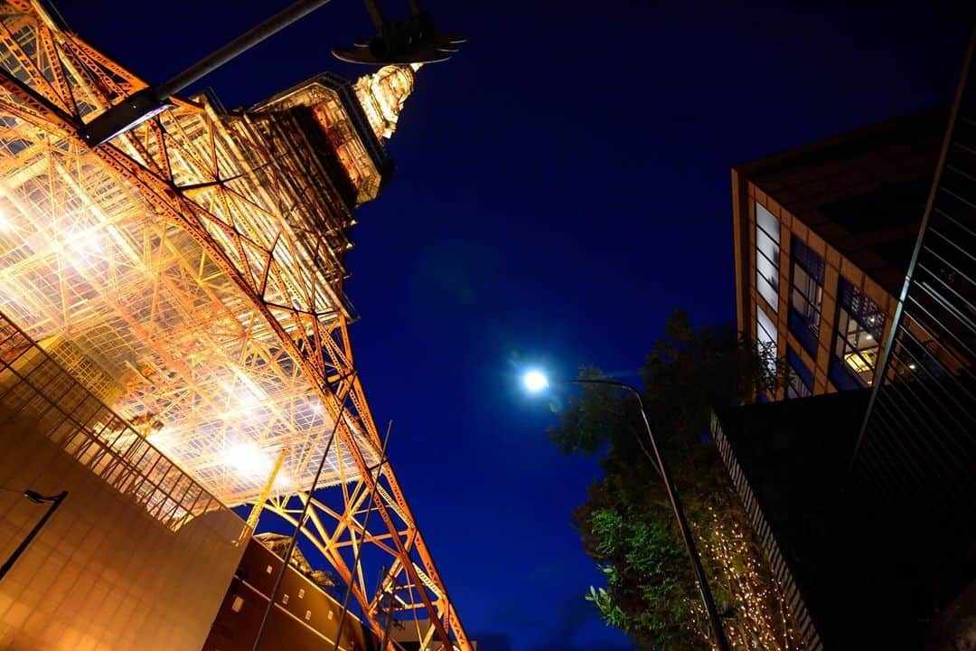 東京タワーの麓の結婚式のグルメインスタ