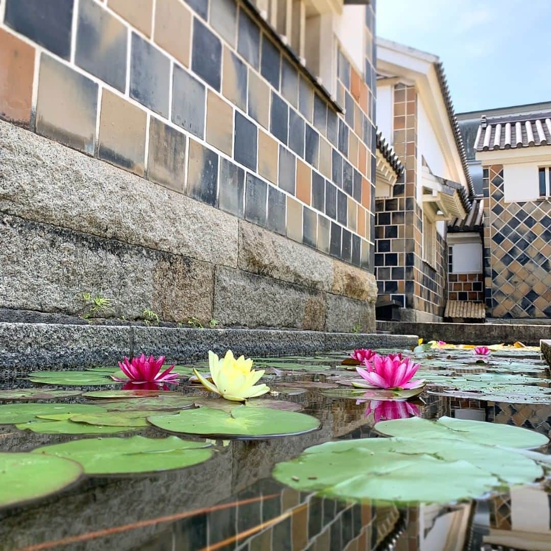 倉敷市のインスタグラム