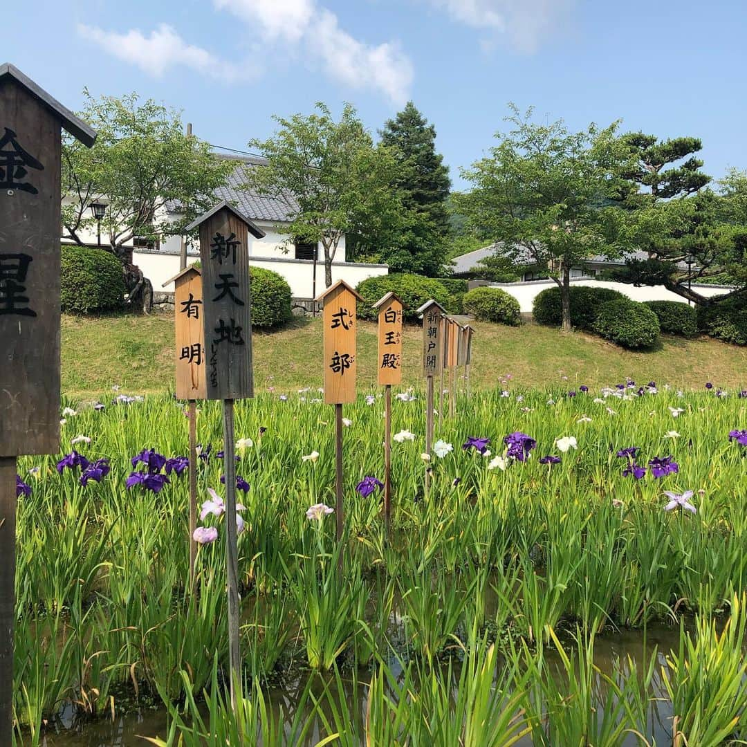 布袋寅泰さんのインスタグラム写真 - (布袋寅泰Instagram)「Discover Japan 今日は山口県の岩国城へ。 美しい錦帯橋を渡りロープウェイに乗り山みちを歩き城が見えてきた時の感動。自然の光と古の時に佇む吉香公園の美しきこと。昼寝中の猫やポップなソフトクリーム屋さん。至福の時間でした。日本は美しい！#discoverjapan #iwakunicastle #kintaibridge #岩国城 #錦帯橋 #布袋寅泰 #日本の美」6月21日 17時13分 - hotei_official