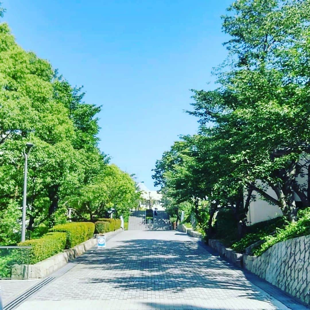 神戸学院大学さんのインスタグラム写真 - (神戸学院大学Instagram)「写真でみる神戸学院大学@有瀬キャンパス #神戸学院大学#kobegakuinuniversity#神戸学院#kobegakuin#kgu#神戸#kobe#大学#university#キャンパスライフ#有瀬キャンパス#明石#photography#picture#photo#新緑」6月21日 17時24分 - kobegakuin_university_koho