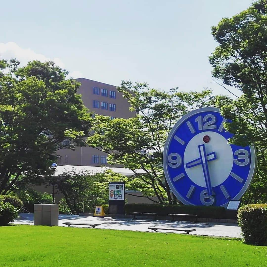 神戸学院大学さんのインスタグラム写真 - (神戸学院大学Instagram)「写真でみる神戸学院大学@有瀬キャンパス #神戸学院大学#kobegakuinuniversity#神戸学院#kobegakuin#kgu#神戸#kobe#大学#university#キャンパスライフ#有瀬キャンパス#明石#photography#picture#photo#新緑」6月21日 17時24分 - kobegakuin_university_koho