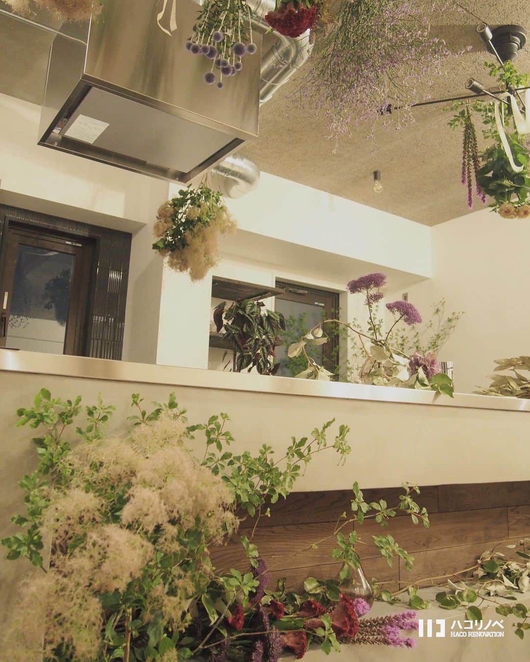 ハコリノベさんのインスタグラム写真 - (ハコリノベInstagram)「2019.06.21  大阪市平野区で開催中のオープンハウス とても素敵にコーディネートしていただきました✨ シックな空間に植物がとても映えます！ 植物で本当にイメージが変わります。 植物をうまく暮らしに取り入れ、楽しむヒントにもなれば嬉しいです。  明日明後日とまだ開催しておりますので、是非お気軽にお越しください！ ご予約はHPのイベントページよりお待ちしております。 #ハコリノベ#ハコリノベ不動産#リノベーション#リノベ#住まい#暮らし#家づくり#家#インテリア#住宅#house#renovation#interior #マンション#中古マンション#マンションリノベ #無垢#リビング#キッチン#植物#フローリスト#照明#living#kitchen#小上がり#モルタル#ステンレス#タイル#オープンハウス#MALULU」6月21日 17時30分 - haco_renovation
