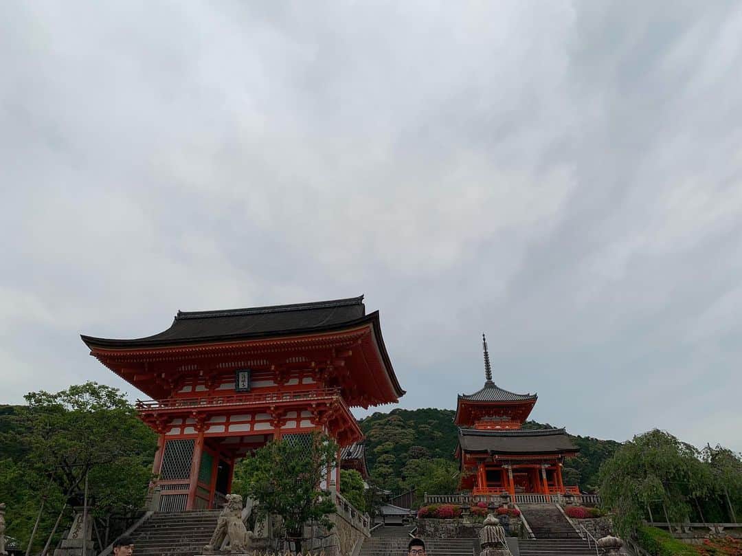 須黒清華さんのインスタグラム写真 - (須黒清華Instagram)「京都のつづき… (だいぶ間が空いてしまった笑) . 泉涌寺の後は清水寺へ。 今、ご本堂は屋根の葺き替え工事中。 特別に作業の現場を見せて頂きました‼︎ 宮大工さんたちが手作業で丁寧に積み上げていく、とても大変な作業。 こうして歴史や伝統は受け継がれていくんですね。 シートに覆われたはご本堂は少し残念な気もしますが、 これが見られるのも40〜50年に一度‼︎ と考えると、特別な感じがしますね✨ . 住職の永玄さん。 素敵な声で語られるお話が、すーっと心に染み入ってくる、本当に素敵な方でした‼︎ 一度会えば誰もがあっという間にファンになってしまいます✨✨ あー、ずっとあそこでぼーっとしていたかった‼︎笑 #京都 #kyoto #feelkiyomizudera #清水寺 #永玄さん」6月21日 17時42分 - sayaka_suguro