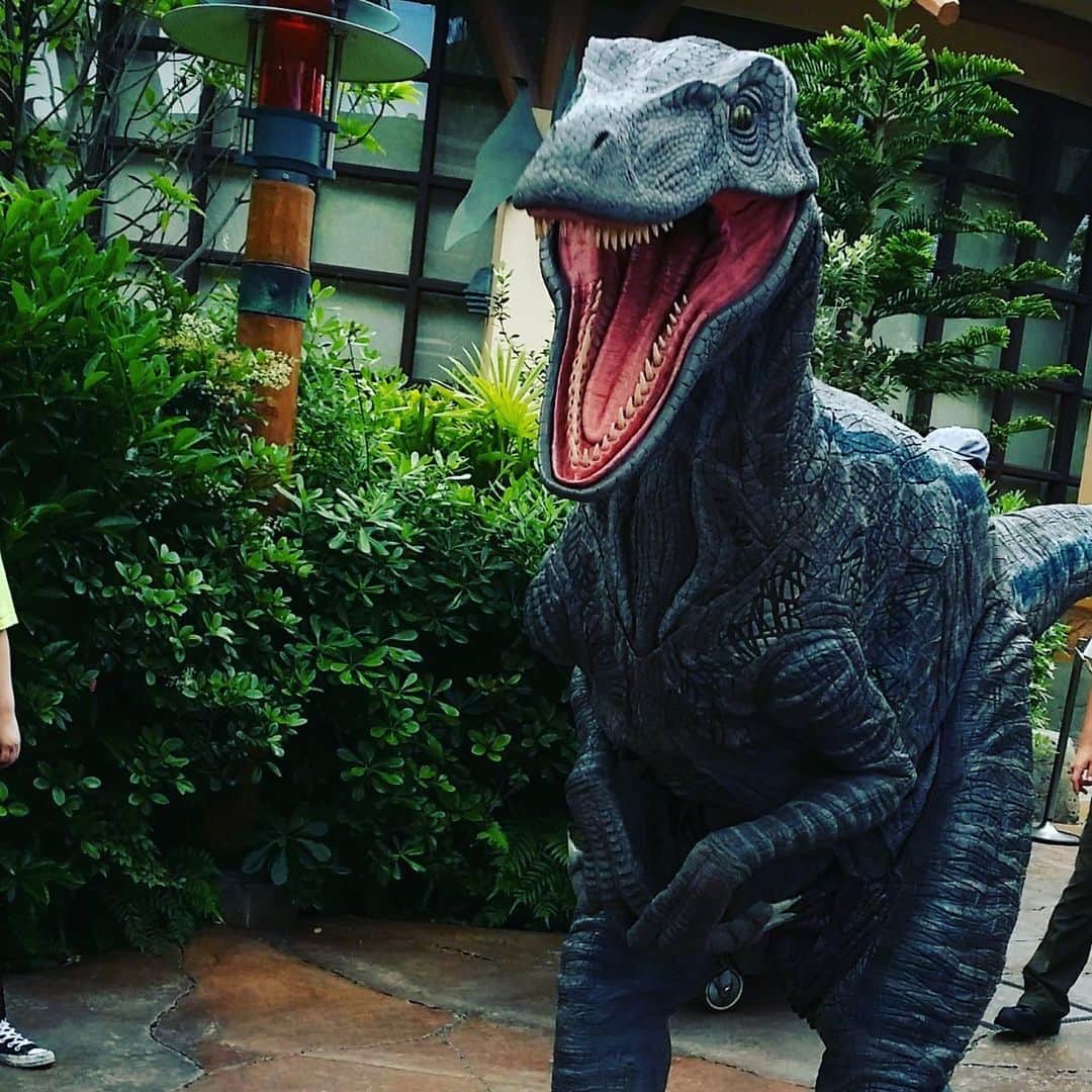 火口秀幸のインスタグラム：「WAOッ こっち 来たッ🤭  #恐竜 #大阪」