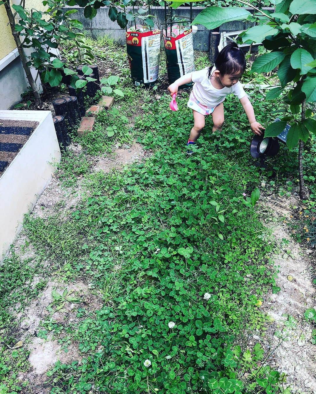 山口愛実さんのインスタグラム写真 - (山口愛実Instagram)「カルディでラクレットチーズ見つけたので野菜のオーブン焼きにかけたらめっちゃ美味かった🧀本当はチーズ狂でばかすかかけて食べたいけど、まだ授乳中なので控え目に💦 ナスとトマトのパスタには庭で採れた新鮮なバジル🌱を これからの時期、お庭で新鮮な野菜や果物が採れるから娘と収穫するのが楽しみ😊  #無農薬野菜 #食育 #フードアナリスト #ベビーフードインストラクター #幼児食マイスター」5月29日 1時34分 - manami_0331