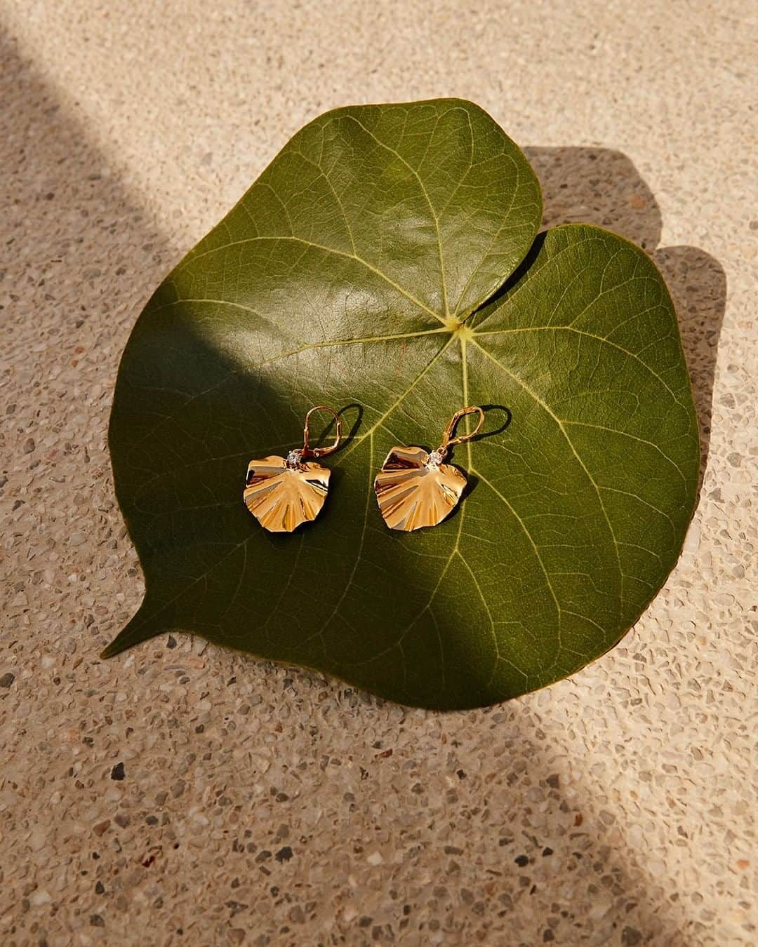 ジェイクルーさんのインスタグラム写真 - (ジェイクルーInstagram)「Earring upgrade… These 14k gold-plated earrings bring new meaning to the term “leaf peeping”. #jcrewalways」5月29日 2時00分 - jcrew