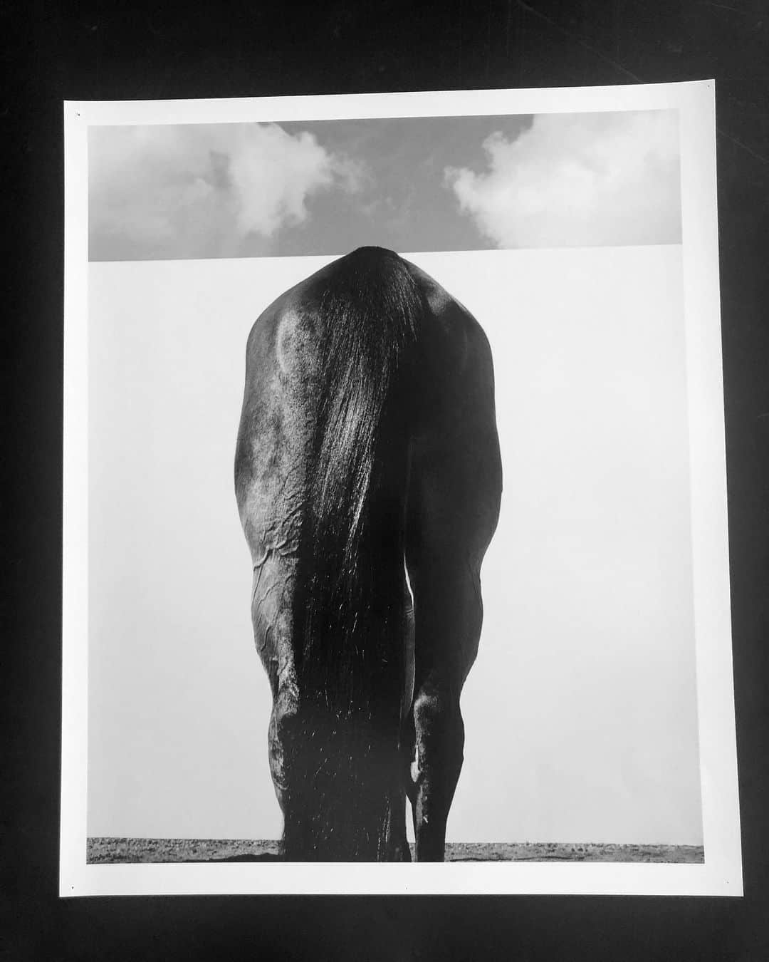 スティーヴン・クラインさんのインスタグラム写真 - (スティーヴン・クラインInstagram)「Horse Study 1995/0304/28 #SHOTBYKLEIN」5月29日 2時33分 - stevenkleinstudio