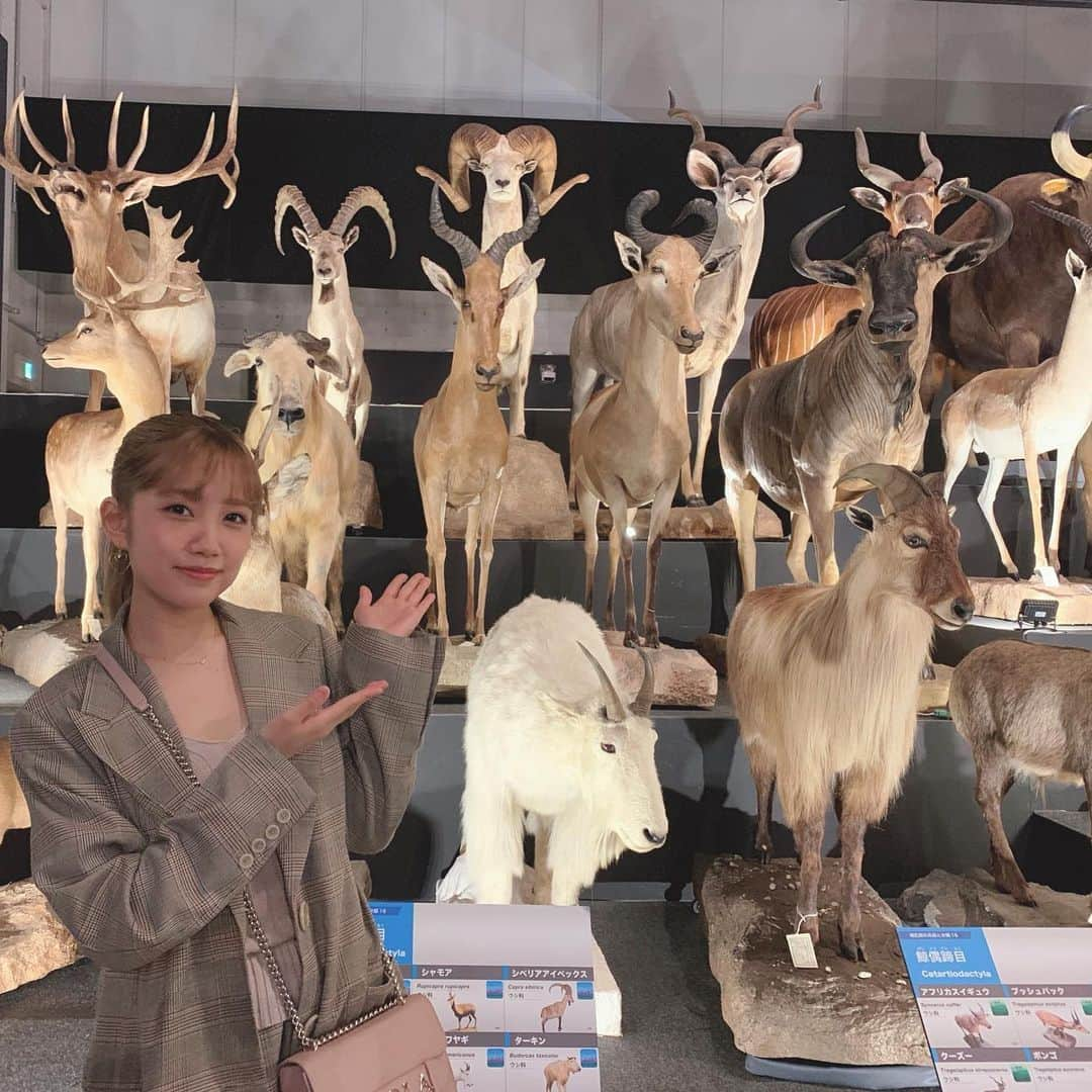 加藤玲奈さんのインスタグラム写真 - (加藤玲奈Instagram)「🦌🦌 🦌🦌🦌👱🏻‍♀️🦌🦌🦌 🦌🦌🦌🦌🦌🦌🦌 私服はEMODAのセットアップ💓 #インスタ映え  #大哺乳類展2」5月28日 18時17分 - katorena_ktrn