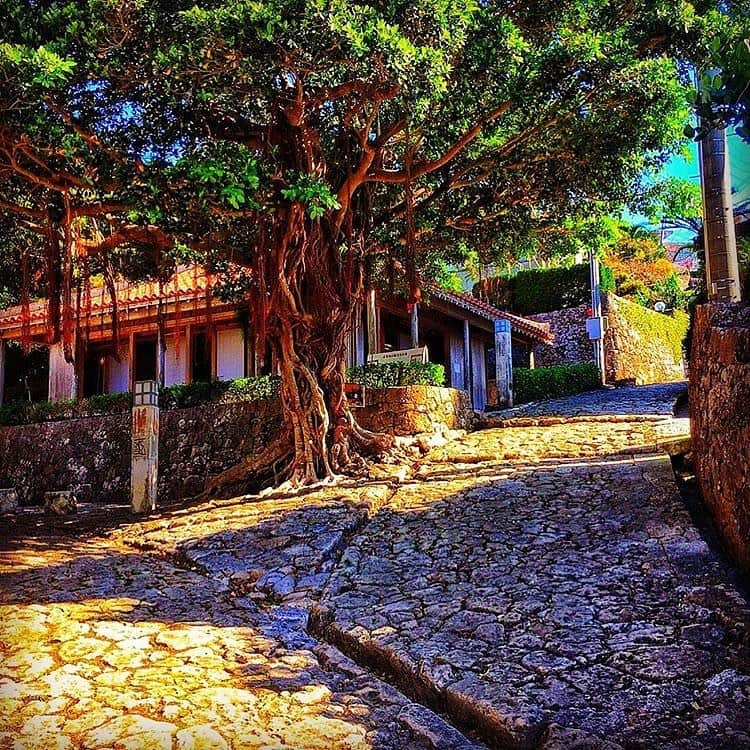 Be.okinawaさんのインスタグラム写真 - (Be.okinawaInstagram)「A delightful evening stroll down the stone-paved path of Kinjo. So peaceful! 📷:@kakako01  #kinjochoishidatamiroad #nahacity #那霸 #金城町石疊道 #나하 #金城町石畳道 #那覇市 #ishitatami #stonetatami #石畳 #beokinawa #visitokinawa」5月28日 19時01分 - visitokinawajapan