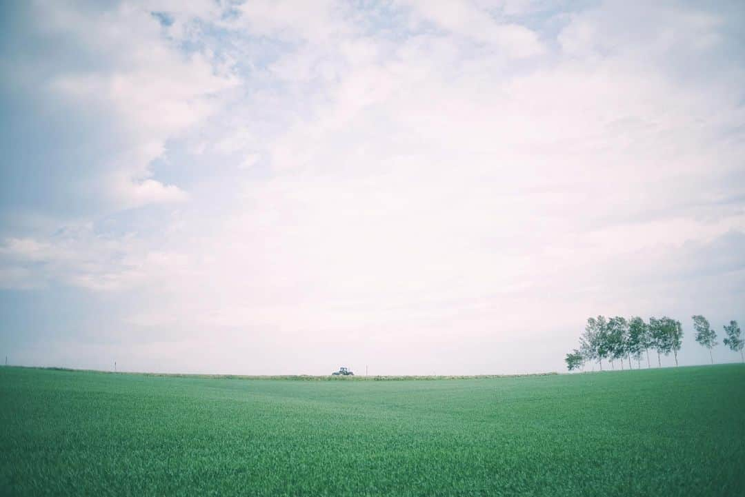 tetsuya.iさんのインスタグラム写真 - (tetsuya.iInstagram)「• 5月は、色が乏しいから 今度は夏に来たい • #sonya7ii #sonyimages •」5月28日 19時11分 - r_papa