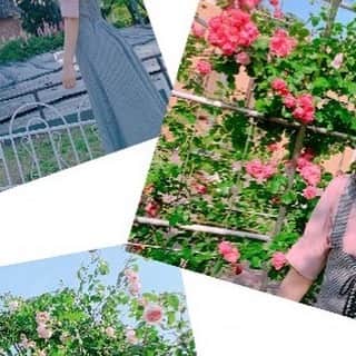 歌田初夏さんのインスタグラム写真 - (歌田初夏Instagram)「画質があまり良くないね😓  #てへぺろ」5月28日 19時48分 - utahatsu78