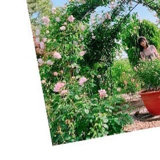 歌田初夏さんのインスタグラム写真 - (歌田初夏Instagram)「歌田ひょっこりはん  #はつちゃれ」5月28日 19時47分 - utahatsu78