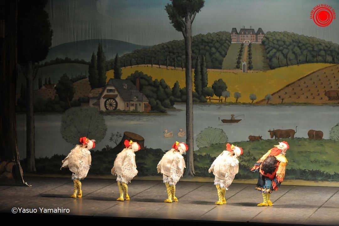 牧阿佐美バレヱ団さんのインスタグラム写真 - (牧阿佐美バレヱ団Instagram)「6月公演「#リーズの結婚 ～ラ・フィーユ・マル・ガルデ～」 突然ですが、この#ニワトリ は雄でしょうか？雌でしょうか？ 🐔 🐔 🐔 🐔  正解は両方。「リーズの結婚」の陽気な幕開けとなる若い雄鶏とその連れ合いの4羽の雌鶏によるダンスです。 男性ダンサーと女性ダンサーが演じています。 ご想像の通り、着ぐるみを来た踊りはとてもハード。この演目のみどころの一つです。 ニワトリのように歩くコツは、「首の動きを大きく」「機敏に反応すること」だとか。 確かに動物は人間よりもオーバーリアクションですよね。 是非試してみてください♪  雄鶏役は、 #元吉優哉 (6/8)	 #中島哲也 (6/9)  雌鶏役は、 #風間美玖 #上中穂香 #鈴木佑菜 #松尾ミチル が登場します。※やむを得ない事情により出演者が変更になる場合がございます。 ・ #トリビア ・ ■公演日：6/8(土)15：00開始　6/9(日)14：30開始　※上演時間約2時間（休憩含む） ■会場：文京シビックホール 大ホール ■オフィシャルチケット：http://r-t.jp/ambt06  #牧阿佐美バレヱ団 #AsamiMakiBallet #牧阿佐美バレエ団 #ballet #balletdancer #バレエ #クラシックバレエ #バレエ公演 #ラフィーユマルガルデ #lafillemalgardee #リーズのバリエーション #文京シビックホール」5月28日 19時49分 - asamimakiballettokyo
