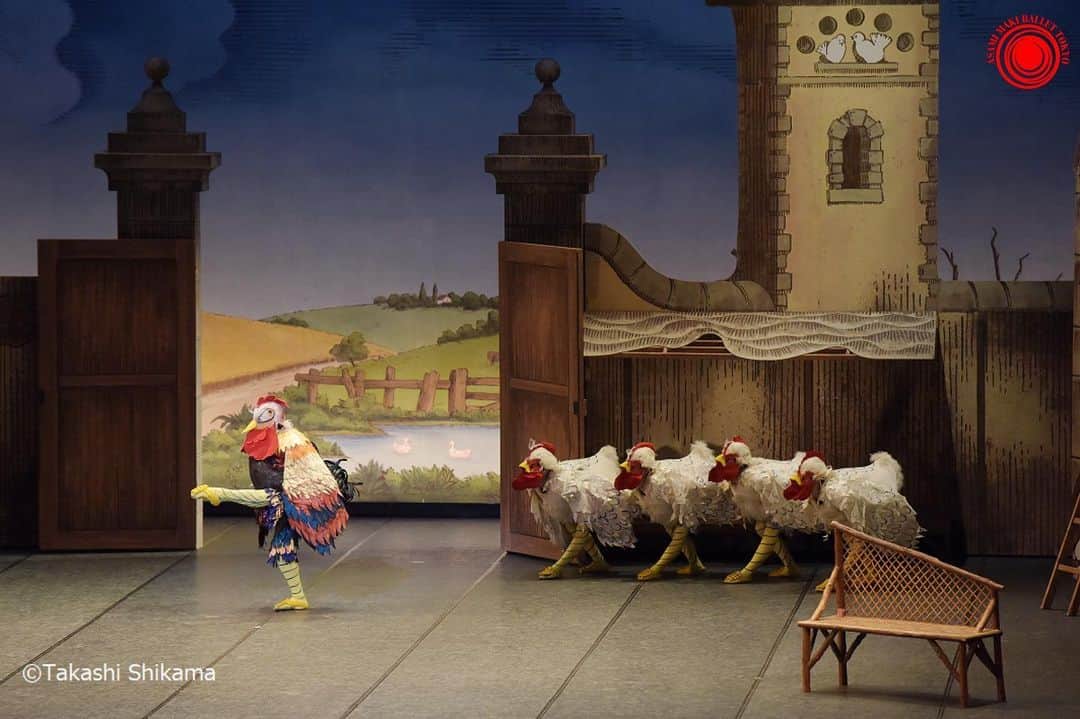 牧阿佐美バレヱ団さんのインスタグラム写真 - (牧阿佐美バレヱ団Instagram)「6月公演「#リーズの結婚 ～ラ・フィーユ・マル・ガルデ～」 突然ですが、この#ニワトリ は雄でしょうか？雌でしょうか？ 🐔 🐔 🐔 🐔  正解は両方。「リーズの結婚」の陽気な幕開けとなる若い雄鶏とその連れ合いの4羽の雌鶏によるダンスです。 男性ダンサーと女性ダンサーが演じています。 ご想像の通り、着ぐるみを来た踊りはとてもハード。この演目のみどころの一つです。 ニワトリのように歩くコツは、「首の動きを大きく」「機敏に反応すること」だとか。 確かに動物は人間よりもオーバーリアクションですよね。 是非試してみてください♪  雄鶏役は、 #元吉優哉 (6/8)	 #中島哲也 (6/9)  雌鶏役は、 #風間美玖 #上中穂香 #鈴木佑菜 #松尾ミチル が登場します。※やむを得ない事情により出演者が変更になる場合がございます。 ・ #トリビア ・ ■公演日：6/8(土)15：00開始　6/9(日)14：30開始　※上演時間約2時間（休憩含む） ■会場：文京シビックホール 大ホール ■オフィシャルチケット：http://r-t.jp/ambt06  #牧阿佐美バレヱ団 #AsamiMakiBallet #牧阿佐美バレエ団 #ballet #balletdancer #バレエ #クラシックバレエ #バレエ公演 #ラフィーユマルガルデ #lafillemalgardee #リーズのバリエーション #文京シビックホール」5月28日 19時49分 - asamimakiballettokyo