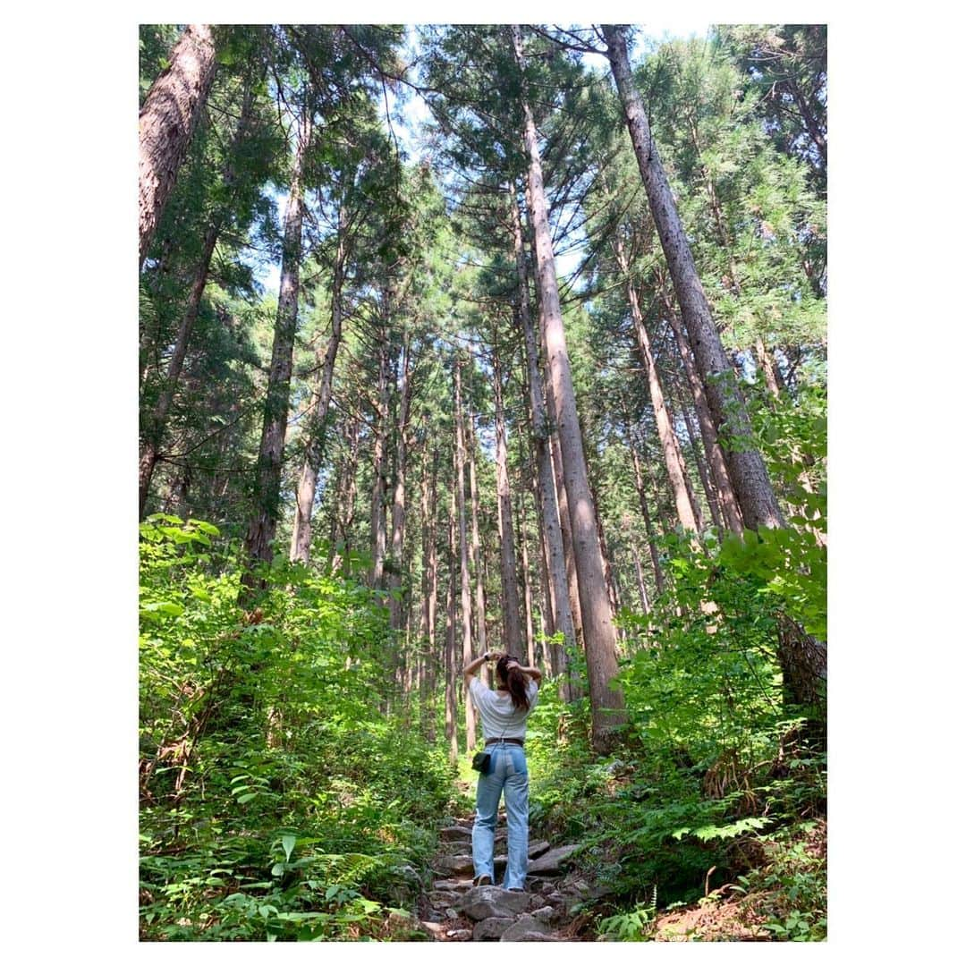 永井葉月さんのインスタグラム写真 - (永井葉月Instagram)「______________________________________________ "Feeling the air of nature." 自然の空気を感じる🌳🍃from Gifu _______________________________________________ #nature #feeling #refresh  #田舎 #自然 #beautiful  #instadaily  #japan  #gifu」5月28日 19時52分 - hazuki815hazuki