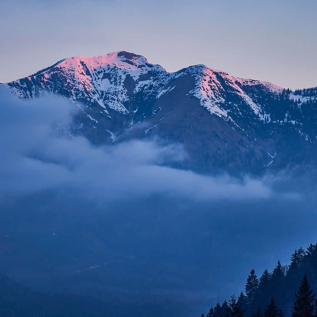 ルフトハンザさんのインスタグラム写真 - (ルフトハンザInstagram)「At the break of dawn, the snow-capped mountains turn from white to shades of violet and pink. While the sun rises in the Alps we’re already heading on to new adventures. #FindYourAdventure #Lufthansa #FlyToMunich」5月28日 20時01分 - lufthansa