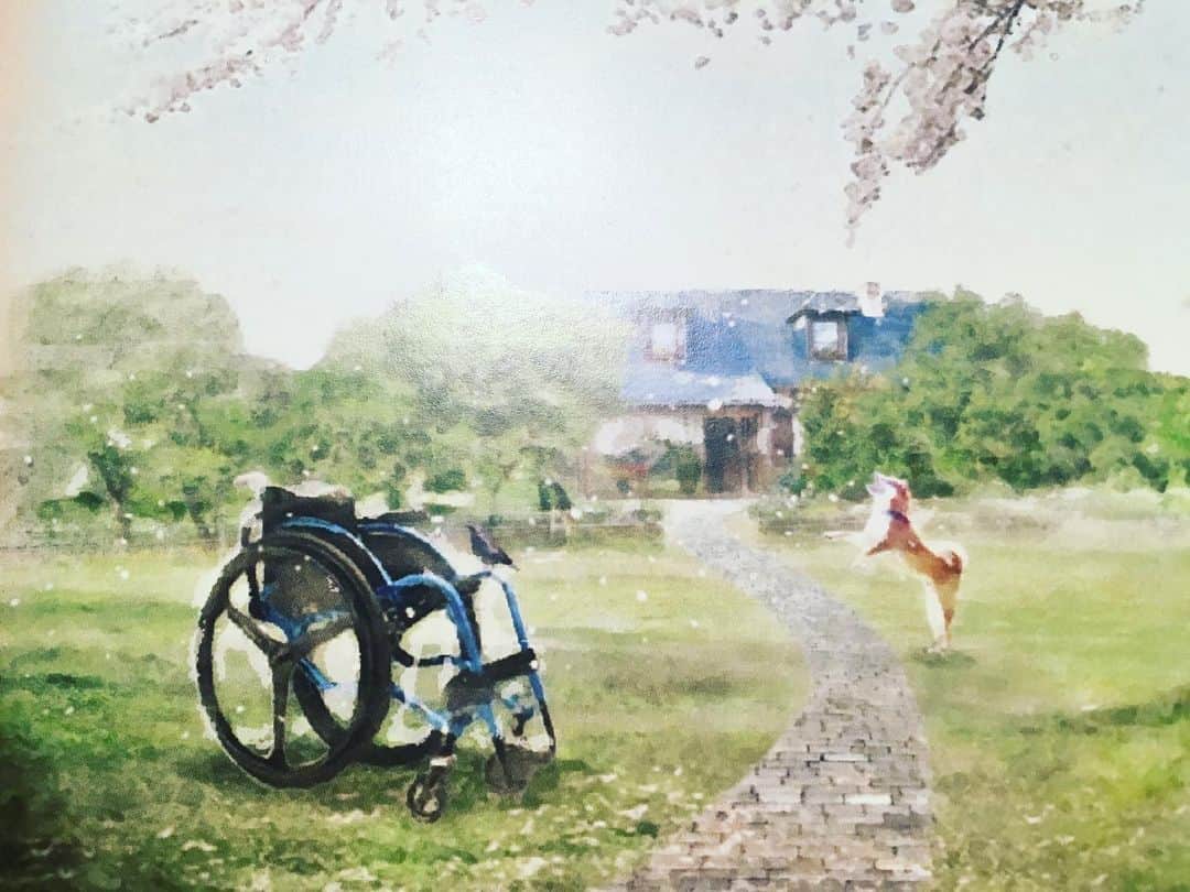 堀内敬子さんのインスタグラム写真 - (堀内敬子Instagram)「今日は。 パーフェクトワールド6話。  5話の別れが切なすぎて。。 #パーフェクトワールド #ドラマ #パフェ #6話」5月28日 20時11分 - horiuchi_keiko