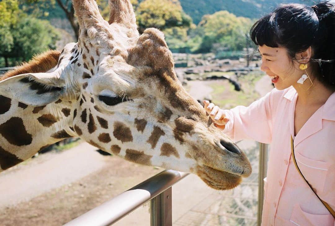 田中シェンさんのインスタグラム写真 - (田中シェンInstagram)「With NUMERO TOKYO JULY ISSUE💕 最新号の @numerotokyo にて 動物園と爬虫類博物館行きました👼🏻 生き物は皆んな可愛い❤️ 是非覗いてみてください💕 Ph Toyama Takuro Editor Kawata Aika キリンとセルフィしようとしたら コブでゴンされたのはいい思い出です😂💭 #numero #アニマルキングダム #izoo」5月28日 20時38分 - shen_tanaka