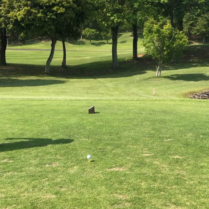 宮崎宣子のグルメインスタ